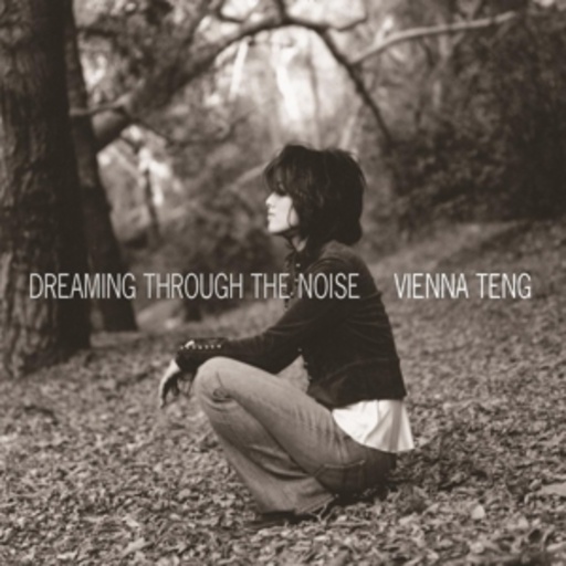 Vienna Teng – Dreaming Thorugh The Noise