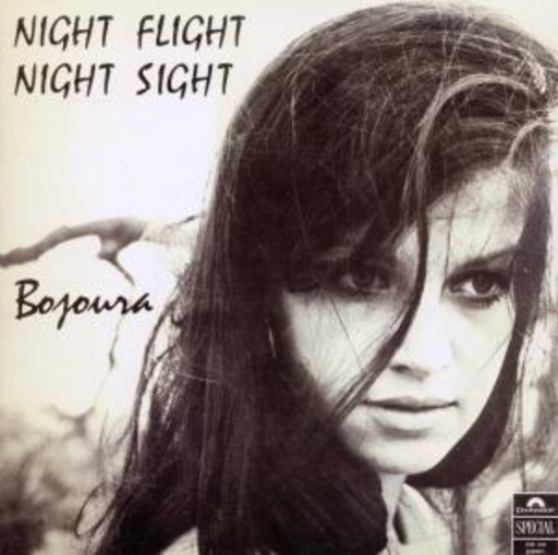 Night Flight Night Sight