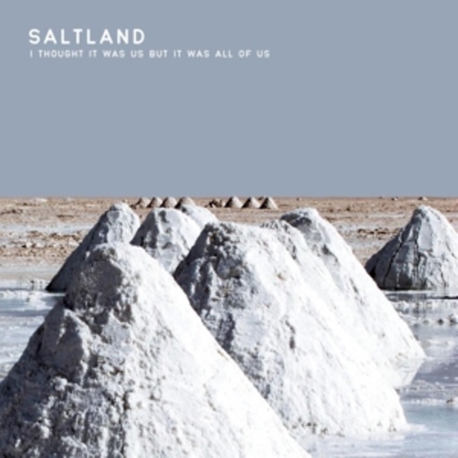 Saltland – I Thought It Was Us But It Was All Of Us