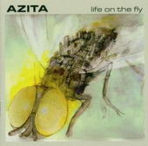 Azita – Life On The Fly