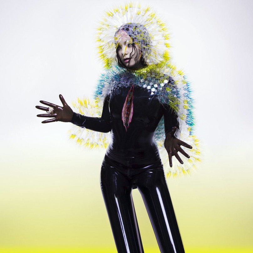 Nominiert für den Nordic Music Prize: "Vulnicura" von Björk