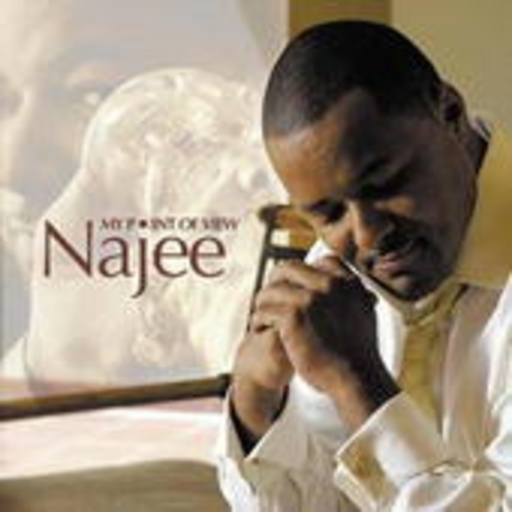 Najee – My Point Of View