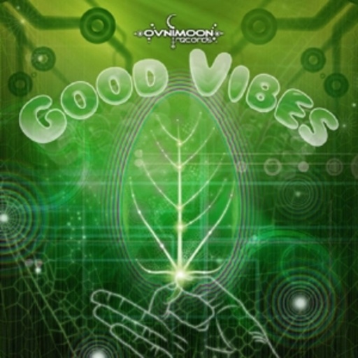Diverse – Good Vibes