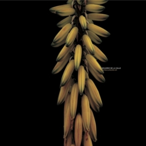 Eduardo De La Celle – Precursors EP