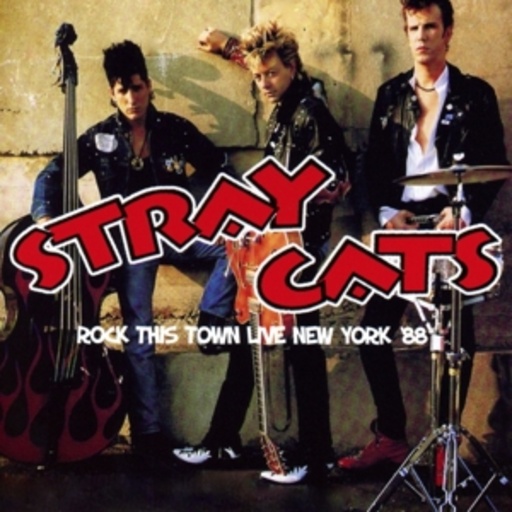 Stray Cats – Rock This Town Live - New York '88
