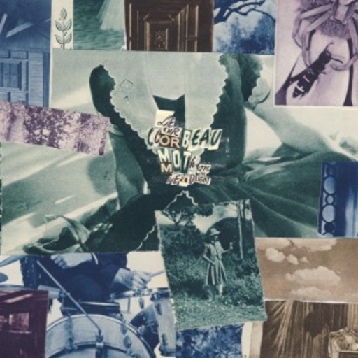 Le Corbeau – Moth On The Headlight