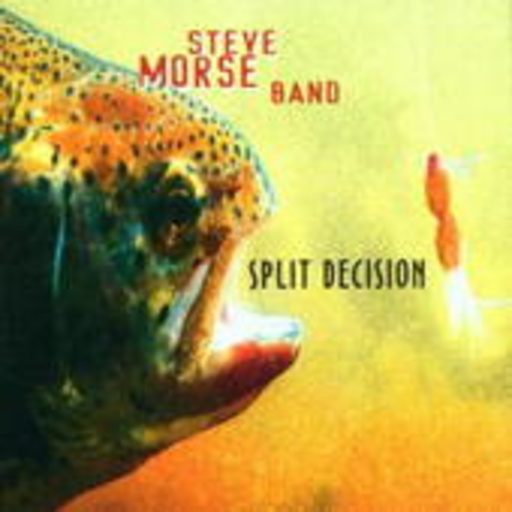 Steve Morse – Split Decision