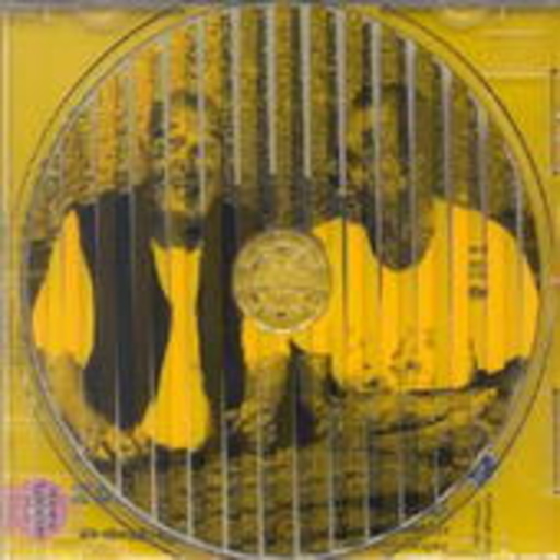 Roedelius/Schnitzler – Acon 2000/1 (Japanpressung)
