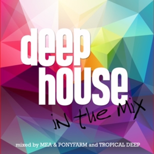 Diverse – Deep House In The Mix