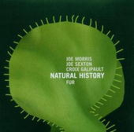 Natural History feat. Joe Morris – Fur