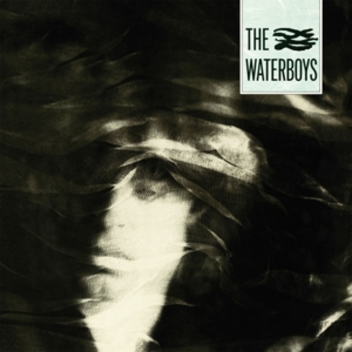The Waterboys – Pagan Place