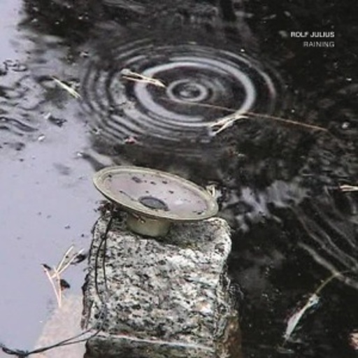 Rolf Julius – Raining