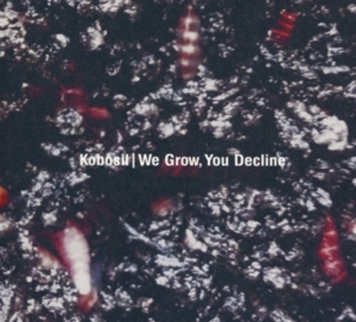 Kobosil – We Grow, You Decline