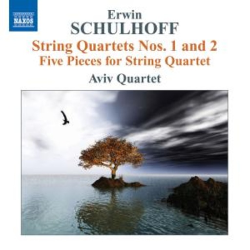 Diverse – Music For String Quartet