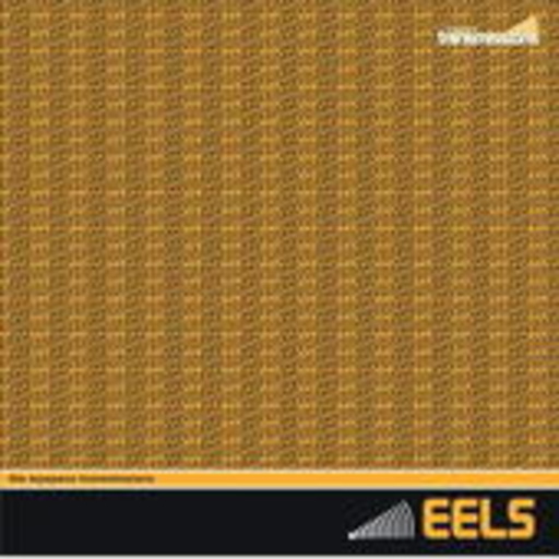 Eels – Transmission Session 2009