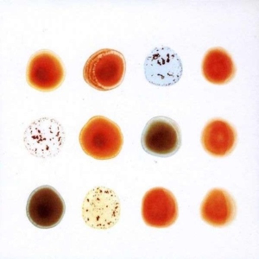 Peter Gabriel – Scratch My Back/And I'll Scratch Yours