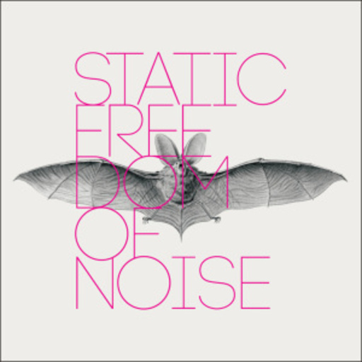 Static – Freedom Of Noise