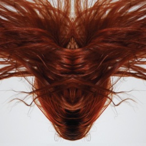 Dave Phillips – A Collection Of Hair