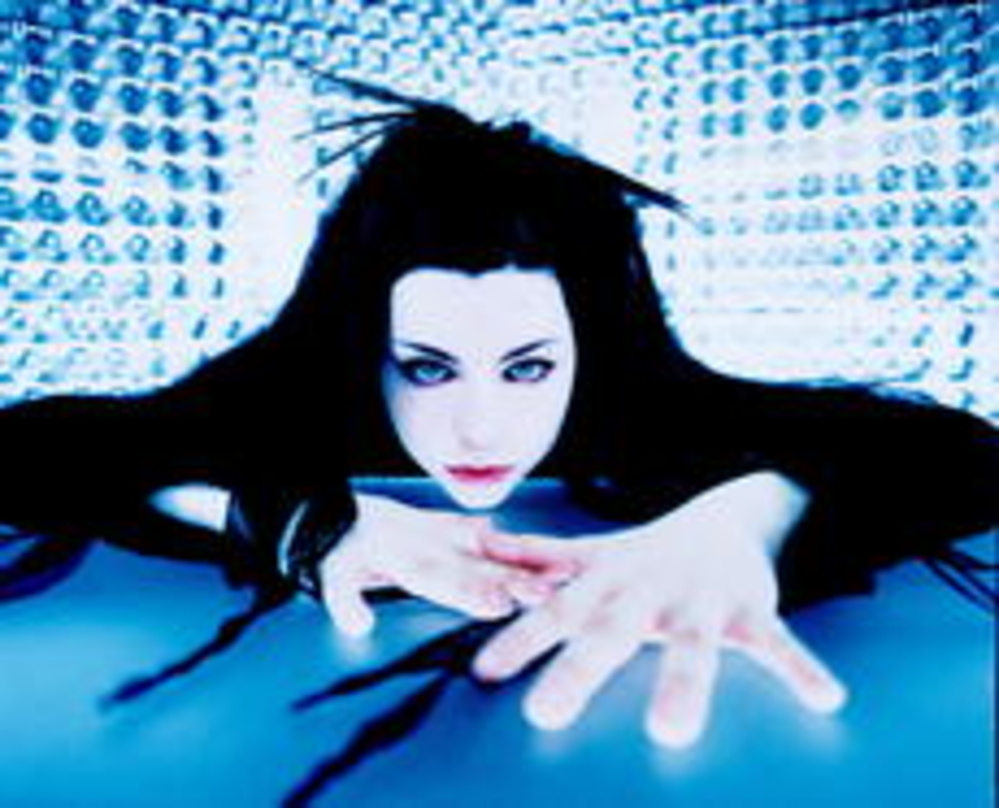 Rasanter Aufstieg: Evanescence