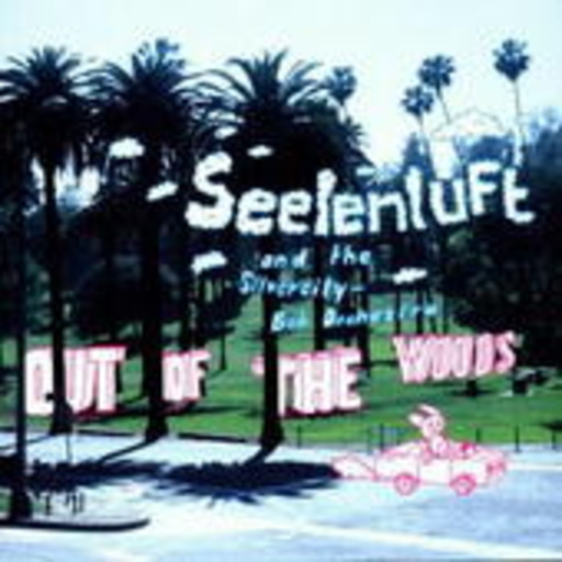 Seelenluft – Out Of The Woods