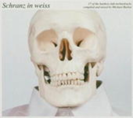 Diverse – Schranz in weiss (Mixed And Compiled by Michael Burkat)