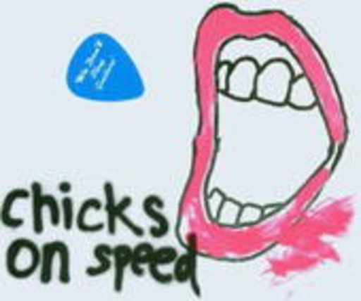 Chicks On Speed – We Don't Play Guitars
