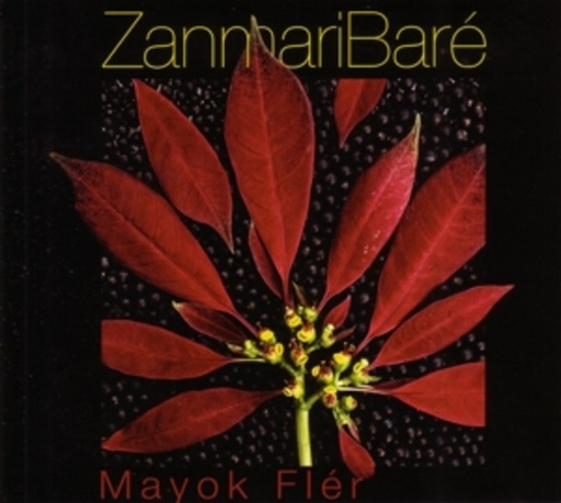 Zanmari Bare – Mayok Fler