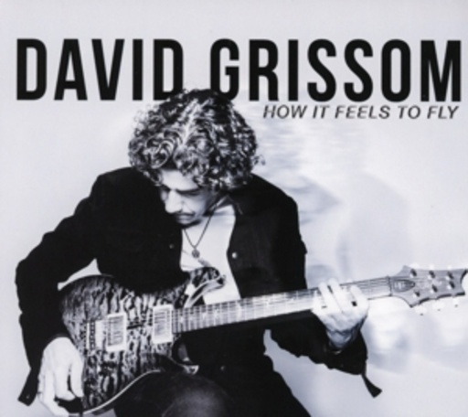David Grissom – How It Feels To Fly