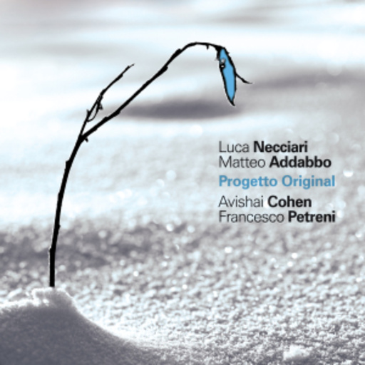 Necciari/Addabbo/Cohen – Progetto Original