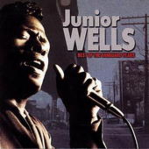 Junior Wells – Best Of Vanguard Years