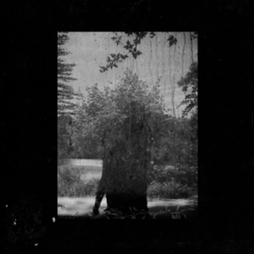 Grouper – Ruins