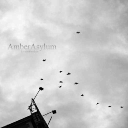 Amber Asylum – Live In Wroclaw