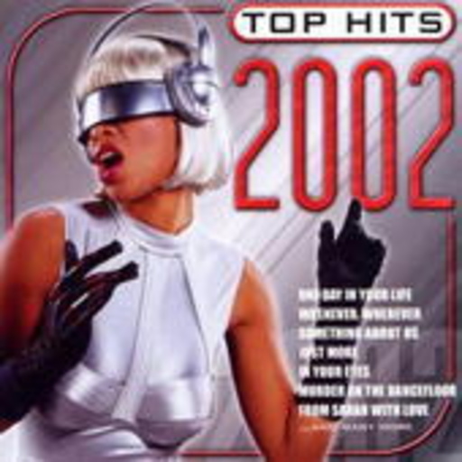 Diverse – Top Hits 2002