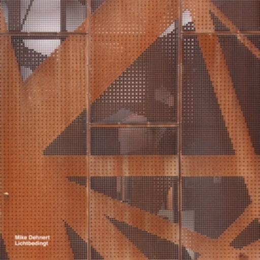 Mike Dehnert – Lichtbedingt