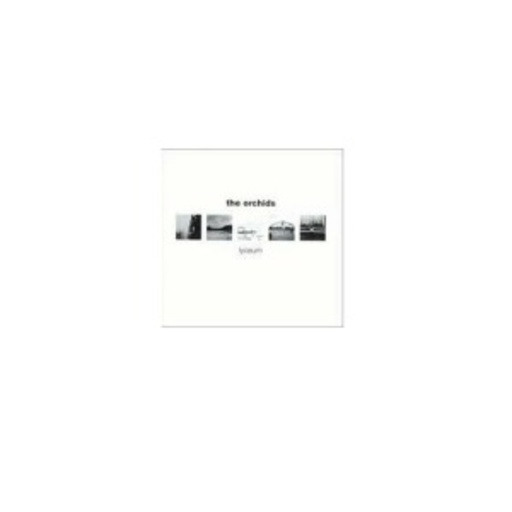 The Orchids – Lyceum