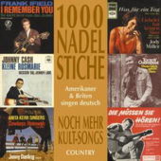 Diverse – 1000 Nadelstiche - Amerikaner & Briten singen deutsch Vol. 2 - Noch mehr Kult ..