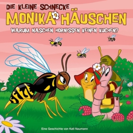 Die kleine Schnecke Monika Häuschen – Warum naschen Hornissen kleinen Kuchen? (43)