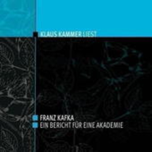 Klaus Kammer – Ein Bericht für eine Akademie