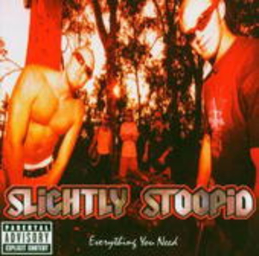 Slightly Stoopid – Everything You Need