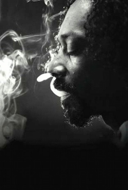 Beim Summerjam in neuer Inkarnation und mit reggaelastigen Songs zu erleben: Snoop Lion, ehemals Snoop Dogg