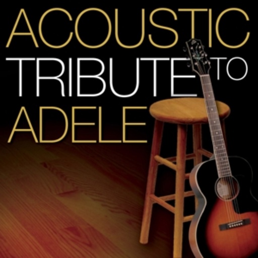 Diverse – Acoustic Tribute To Adele