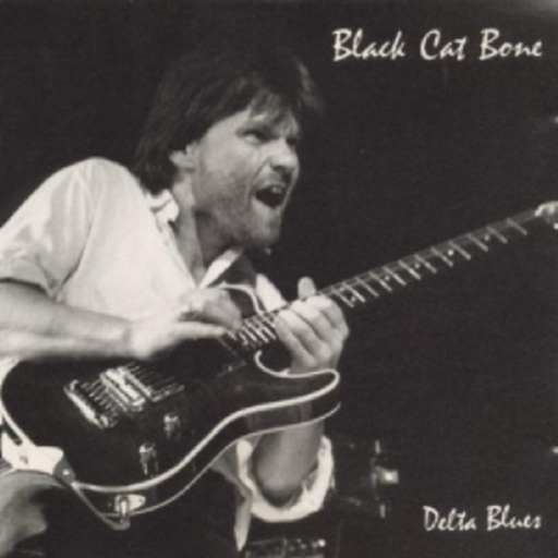 Black Cat Bone – Delta Blues