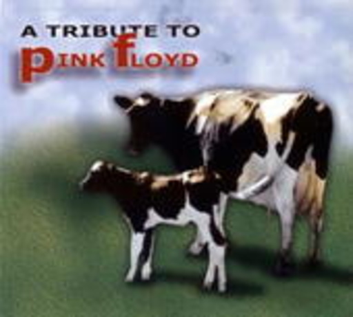 Diverse – A Rock Tribute To Pink Floyd