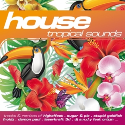 Diverse – House - Tropical Sounds