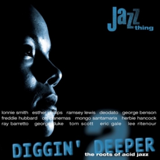 Diggin‘ Deeper Vol. 2