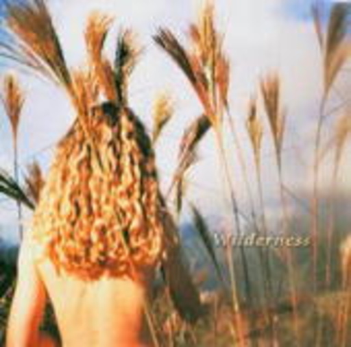 Sophie B. Hawkins – Wilderness