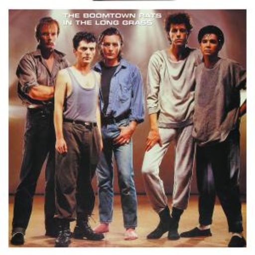 The Boomtown Rats – In The Long Grass