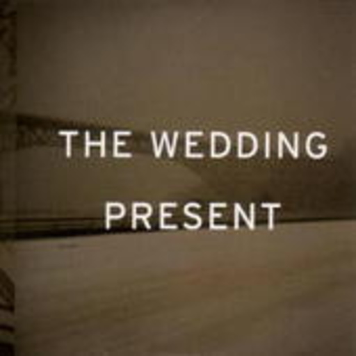Wedding Present – Take Fountain