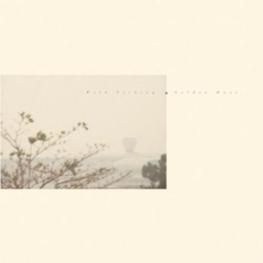 Wild Nothing – Golden Haze EP