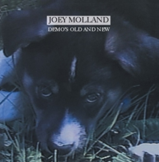 Joey Molland – Demo's Old And New